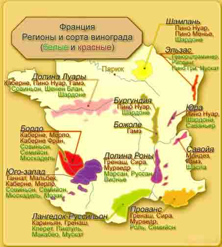 Классификация вин Франции